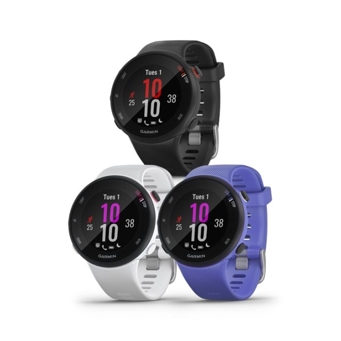 Garmin Forerunner 45S